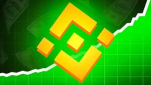 Warum sollte man in neue Binance Coins investieren_