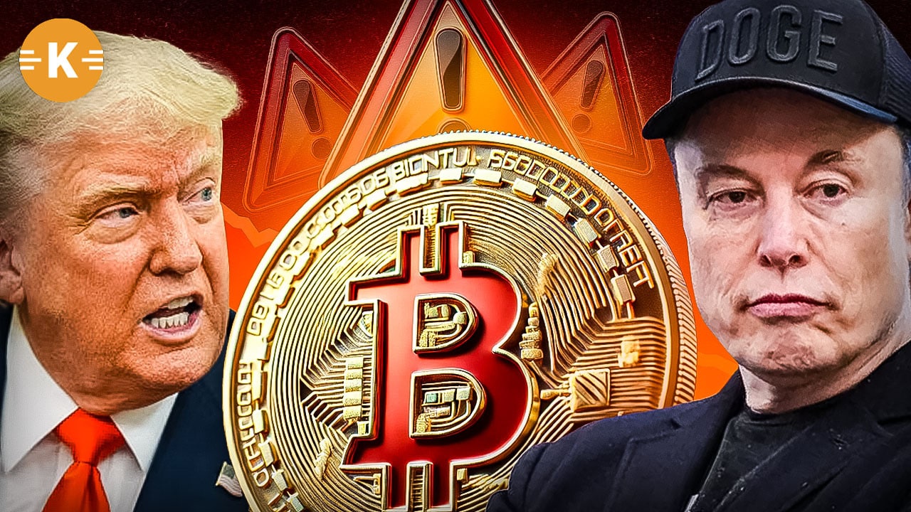 trump-musk