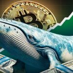 Bitcoin Wale BTC kaufen prognose