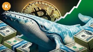 Bitcoin Wale BTC kaufen prognose