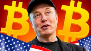 America Party Elon Musk