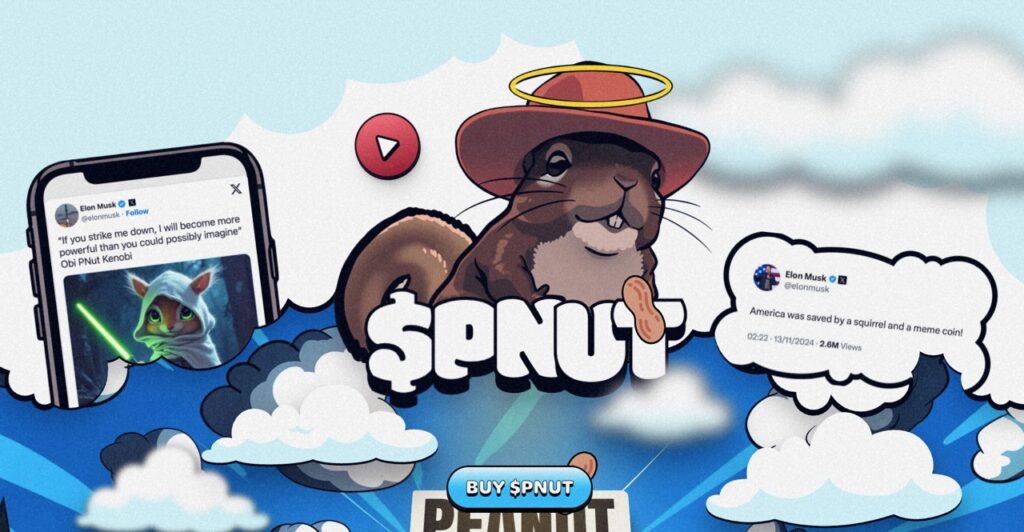 PNUT Coin Website