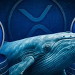 Ripple-Wale Ripple Kurs