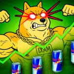 maxi doge ks