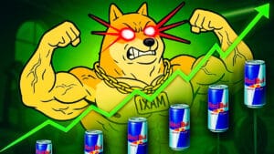 maxi doge ks
