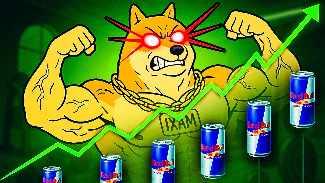 maxi doge ks