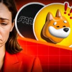 Meme Coins Korrektur Crash Kaufen Prognose