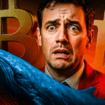 Bitcoin-Wal Crash