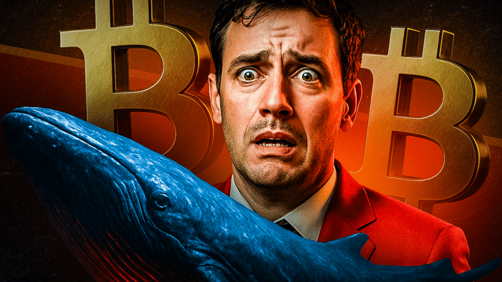 Bitcoin-Wal Crash