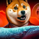 DOGE-Wale Dogecoin Kurs