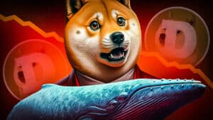 DOGE-Wale Dogecoin Kurs