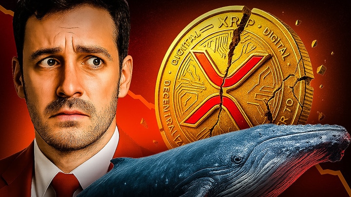 XRP Wale XRP Preis