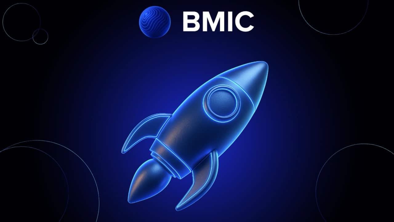 BMIC
