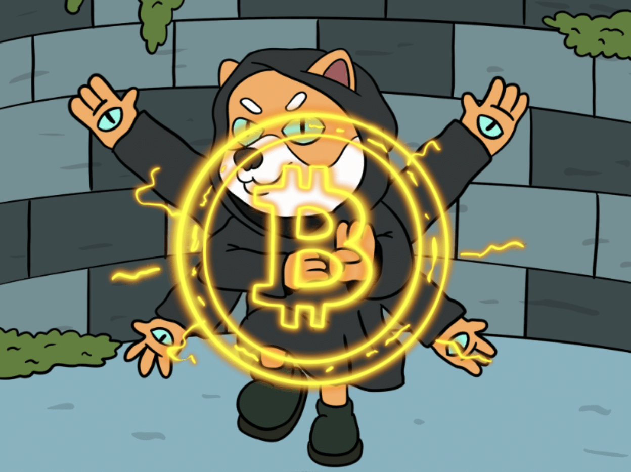 Beste Altcoin fur 2026