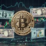 Bitcoin Rallye Fed