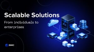 BMIC Presale Scalable Solutions