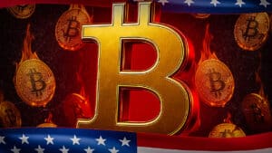 Bitcoin-Crash Raoul Pal