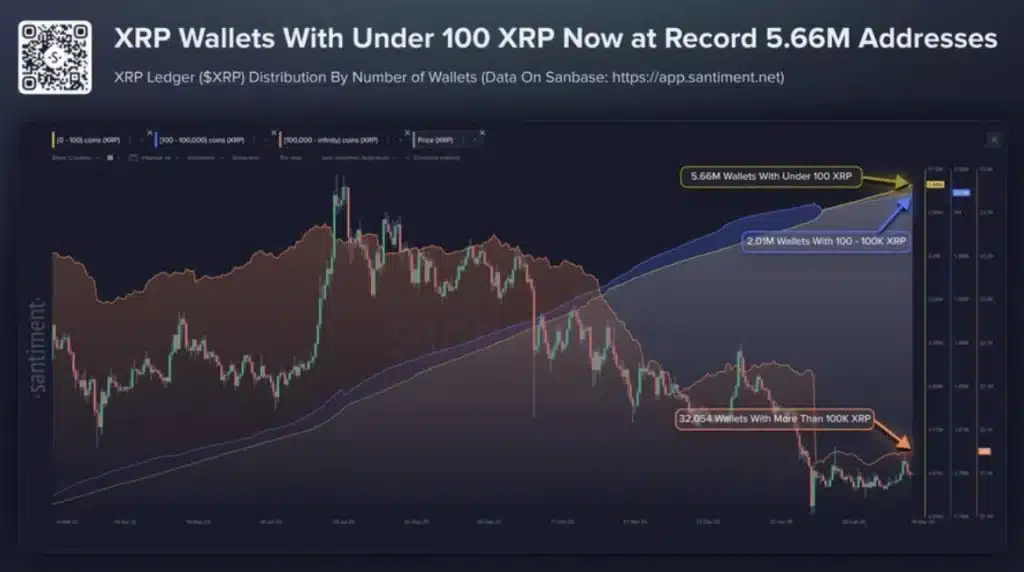 Xrp Wallets xrp wallets